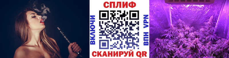 Каннабис конопля Сусуман
